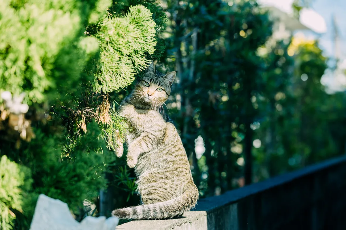 Kagoshima Winter Travel Guide 2026