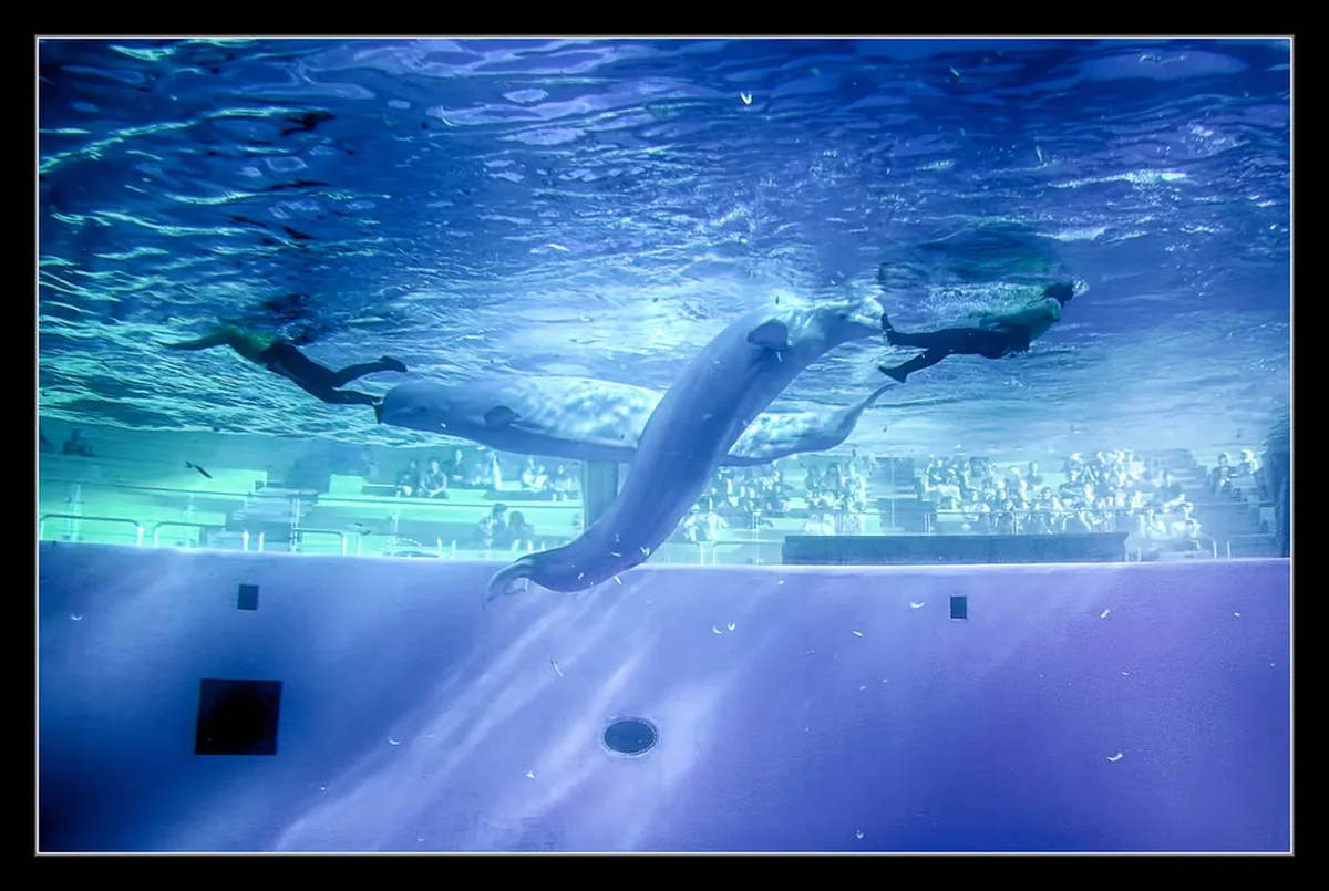 Yokohama Winter Travel Guide 2026: Best Things to Do