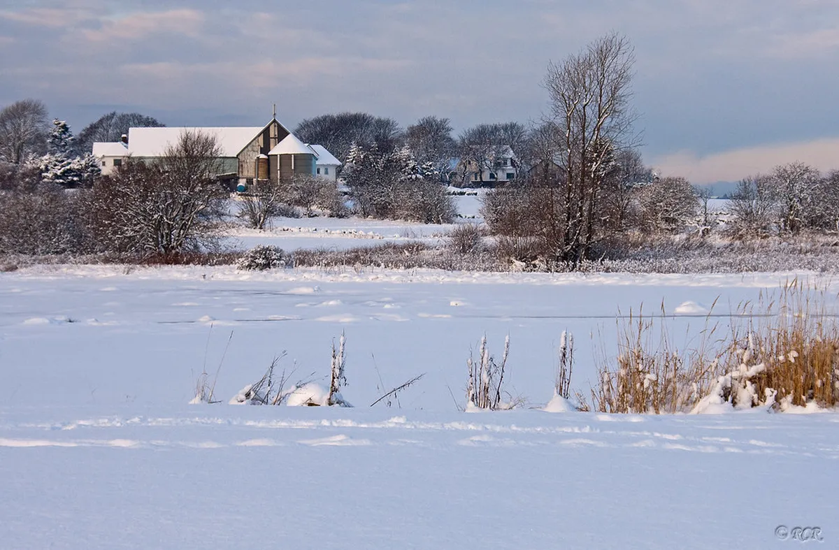 Stavanger Winter Travel Guide 2026